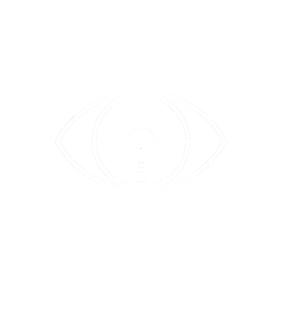Information Systems Insights Logo